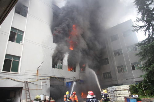 义乌塑料制品厂突发大火，现场浓烟滚滚如焦炭